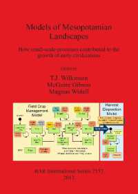 Models of Mesopotamian Landscapes : How small-scale processes contributed to the growth of early civilizations