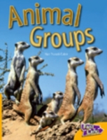 Animal Groups (Fast Lane Yellow Non-fiction) （SPI PMPLT）