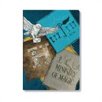 Moments of Magic (Harry Potter Collection) A5 Lined Cahier