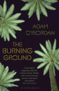 Burning Ground -- Hardback