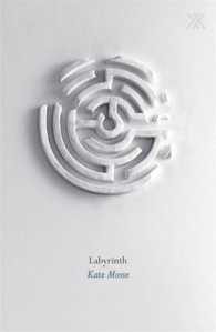 Labyrinth -- Paperback
