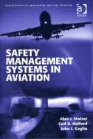 Safety Management Systems in Aviation (Ashgate Studies in Human Factors for Flight Operations) （Reprint）
