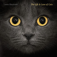 The Life & Love of Cats