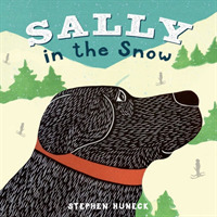 Sally in the Snow (Sally Board Books) （BRDBK）