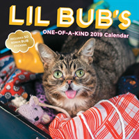 Lil Bubs One-of-a-Kind 2019 Calendar （WAL）