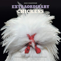 Extraordinary Chickens 2020 Calendar （WAL）