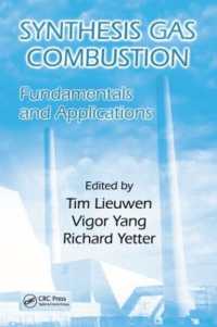 Synthesis Gas Combustion : Fundamentals and Applications