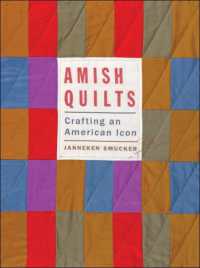 Amish Quilts : Crafting an American Icon (Young Center Books in Anabaptist and Pietist Studies)