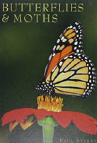 Butterflies & Moths (Exploring Nature) -- Hardback