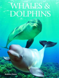 Whales and Dolphins (Creatures of the Ocean) -- Hardback
