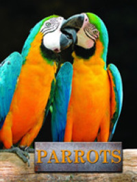 Parrots (Pet Library) -- Hardback
