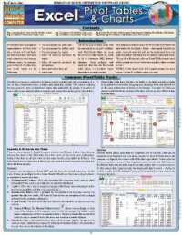 Excel: Pivot Tables & Charts