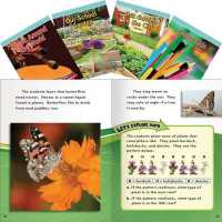 Algebra and Algebraic Thinking Set: Grades 1-2 (Mathematics in the Real World)