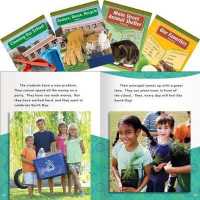 Data Analysis and Probability Set: Grades 1-2 (Mathematics in the Real World)