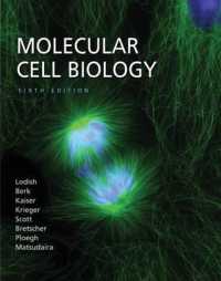 分子細胞生物学（第6版）<br>Molecular Cell Biology （6TH）