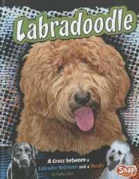 Labradoodle : A Cross between a Labrador Retriever and a Poodle (Designer Dogs)