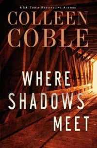Where Shadows Meet (Thorndike Press Large Print Christian Fiction) （LRG）