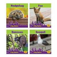 City Safari (City Safari)