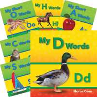 My First Consonants and Vowels 21-Book Set (Phonics)