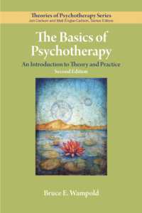 精神療法の基礎（第２版）<br>The Basics of Psychotherapy : An Introduction to Theory and Practice (Theories of Psychotherapy Series®) （2ND）