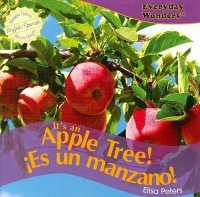 It's an Apple Tree! / ¡Es Un Manzano! (Everyday Wonders / Maravillas de Todos los Días) （Library Binding）