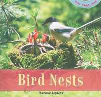 Bird Nests (Home Sweet Home)