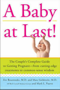 A Baby at Last! : The Couple's Complete Guide to Getting Pregnant--from Cutting-Edge Treatments to Commonsense Wisdom （1ST）
