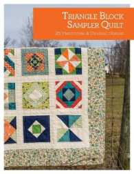 Triangle Block Sampler Quilt : 25 Traditional & Original Designs
