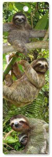 Sloths 3-d Bookmark