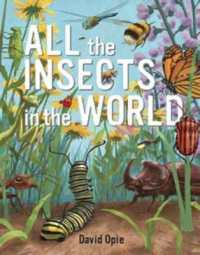 All the Insects in the World