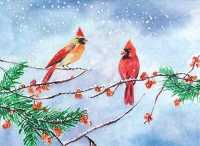 Cardinals & Berries Holiday Cards (Deluxe Boxed Holiday Cards) （BOX GCR DL）