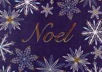 Golden Noel Holiday Cards （BOX GCR DL）