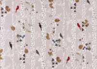 Birds in White Birches Holiday Cards （BOX GCR DL）