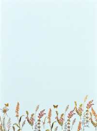 Blooms & Butterflies Boxed Stationery (30 Sheets, 24 Envelopes)