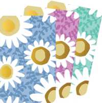 Daisies Jotter Notebooks (Set of 3)