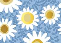 Daisies Note Cards (14 Cards, 15 Self-Sealing Envelopes)