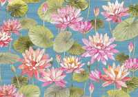 Water Lilies Note Cards (14 Cards, 15 Self-Sealing Envelopes)