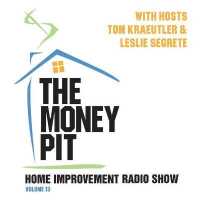 The Money Pit, Vol. 13 （13TH）