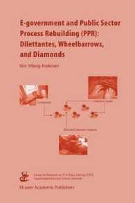 E-government and Public Sector Process Rebuilding : Dilettantes, Wheel Barrows, and Diamonds