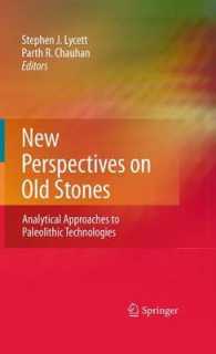 New Perspectives on Old Stones : Analytical Approaches to Paleolithic Technologies