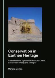 Conservation in Earthen Heritage : Assessment and Significance of Failure, Criteria, Conservation Theory, and Strategies