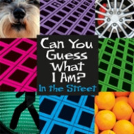 In the Street (Can You Guess What I Am?) -- Hardback