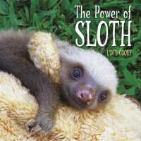 Power of Sloth -- Paperback / softback