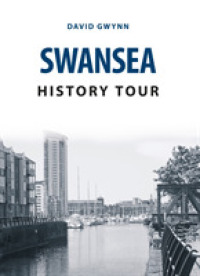 Swansea History Tour (History Tour)