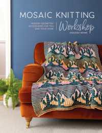 Mosaic Knitting Workshop : Modern Geometric Accessories for You and Your Home