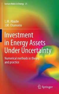 Investment in Energy Assets under Uncertainty : Numerical methods in theory and practice (Lecture Notes in Energy) （2013）