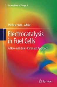 Electrocatalysis in Fuel Cells : A Non- and Low- Platinum Approach (Lecture Notes in Energy)