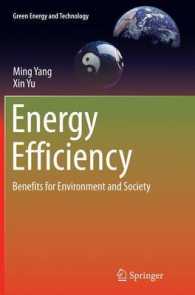 Energy Efficiency : Benefits for Environment and Society (Green Energy and Technology)