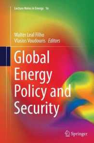 Global Energy Policy and Security (Lecture Notes in Energy)