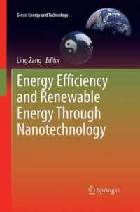 Energy Efficiency and Renewable Energy through Nanotechnology (Green Energy and Technology)
